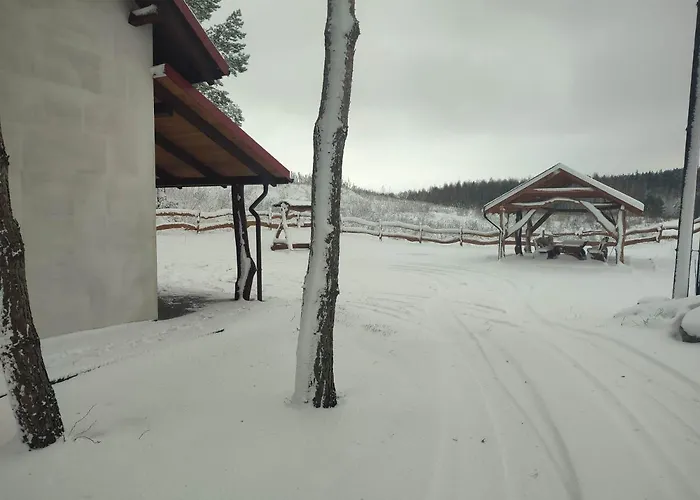 Pod Sosnami Dom wakacyjny Gaj (Nowe Miasto)