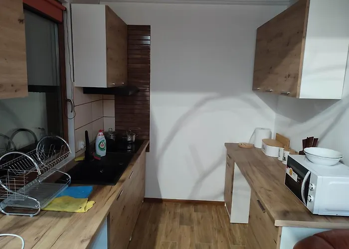 Dom wakacyjny Pod Sosnami Gaj (Nowe Miasto)