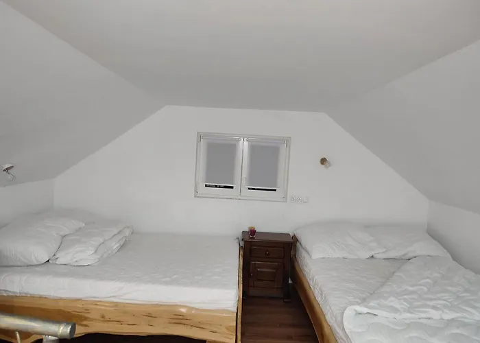 Pod Sosnami Dom wakacyjny *