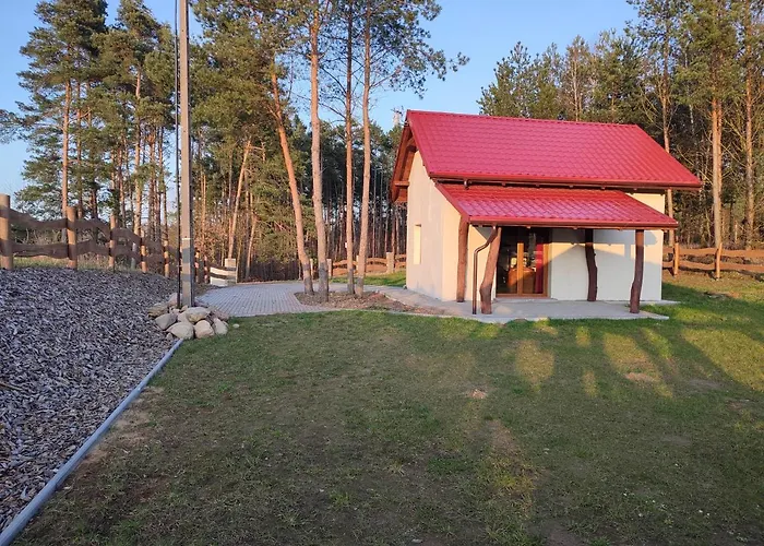 Pod Sosnami Dom wakacyjny Gaj (Nowe Miasto)